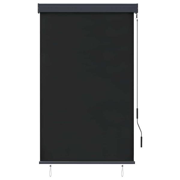 Außenrollo 100 x 250 cm Anthrazit