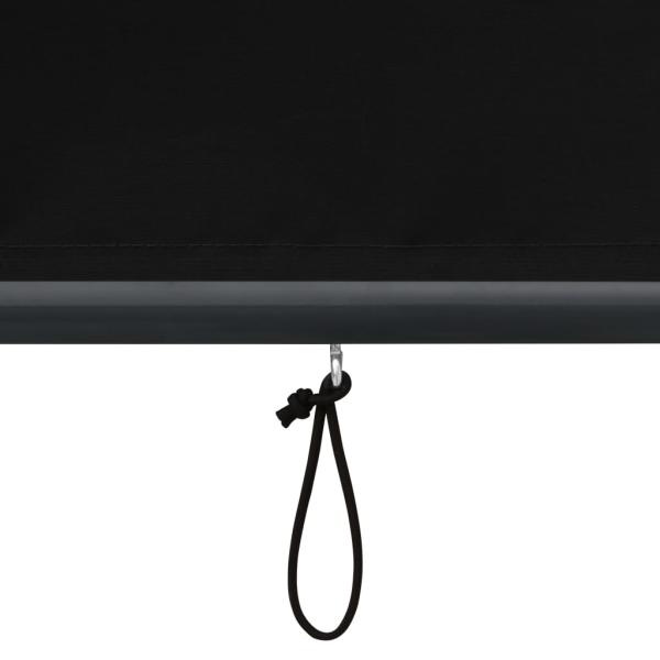 Außenrollo 100 x 250 cm Anthrazit