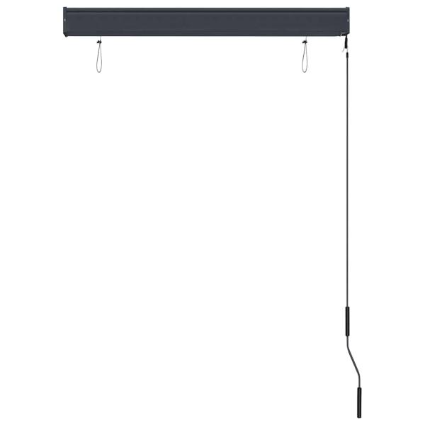 Außenrollo 100 x 250 cm Anthrazit