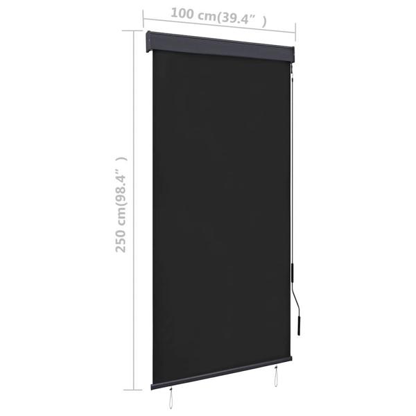 Außenrollo 100 x 250 cm Anthrazit