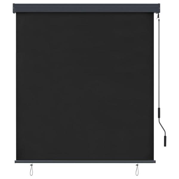Außenrollo 140x250 cm Anthrazit