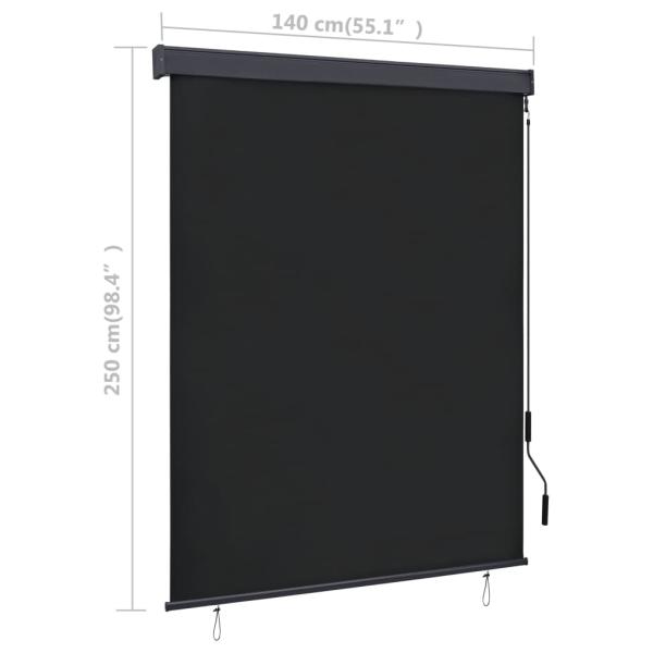 Außenrollo 140x250 cm Anthrazit