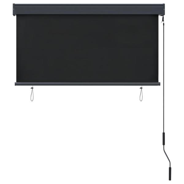 Außenrollo 120 x 250 cm Anthrazit