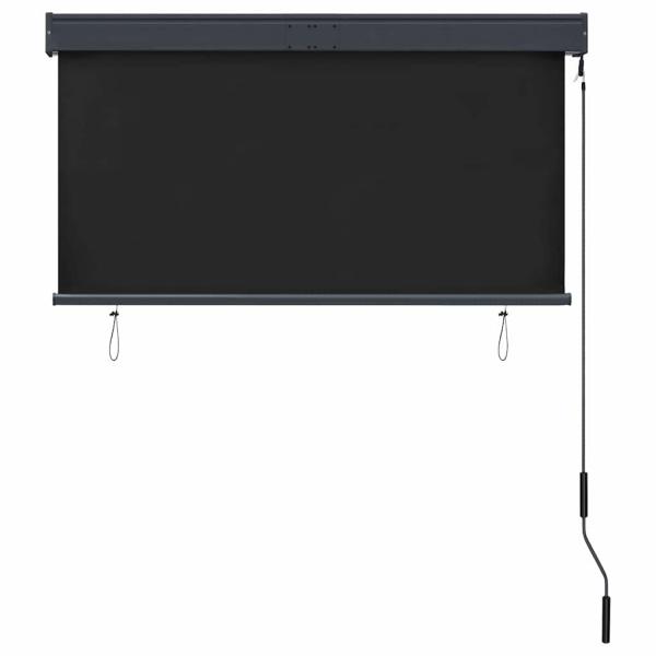 Außenrollo 120 x 250 cm Anthrazit
