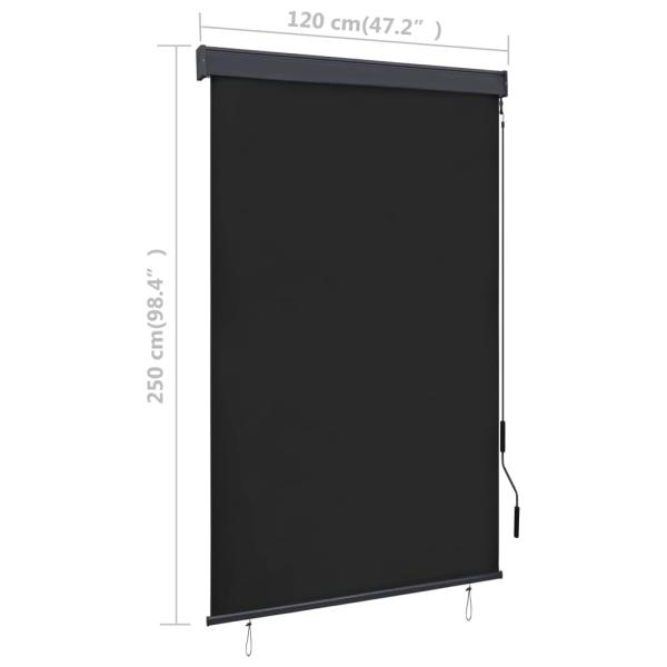 Außenrollo 120 x 250 cm Anthrazit