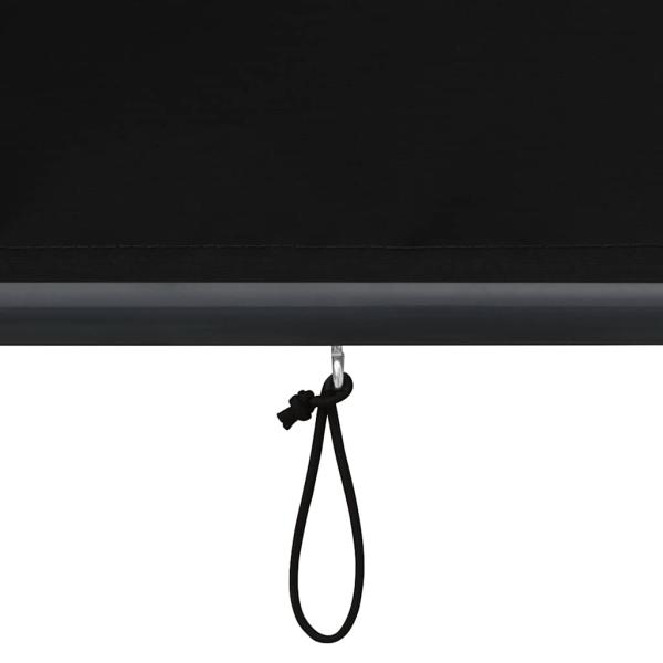 Außenrollo 120 x 250 cm Anthrazit