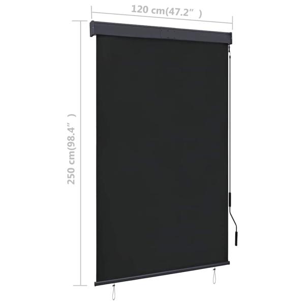 Außenrollo 120 x 250 cm Anthrazit
