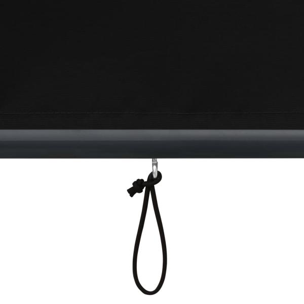 Außenrollo 120 x 250 cm Anthrazit