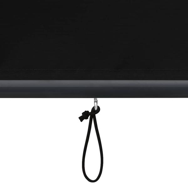 Außenrollo 120 x 250 cm Anthrazit