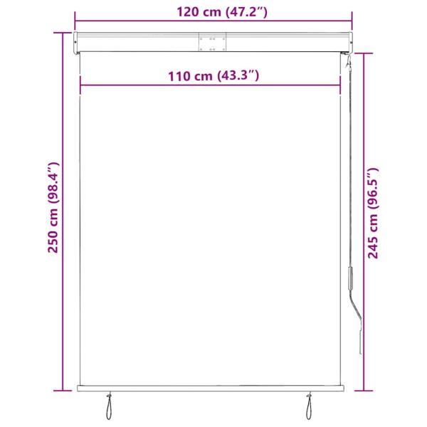 Außenrollo 120 x 250 cm Anthrazit