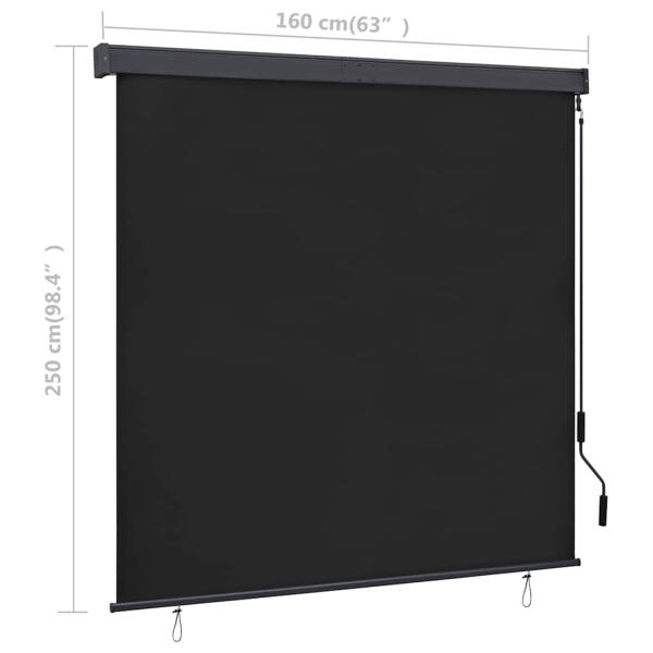 Außenrollo 160x250 cm Anthrazit