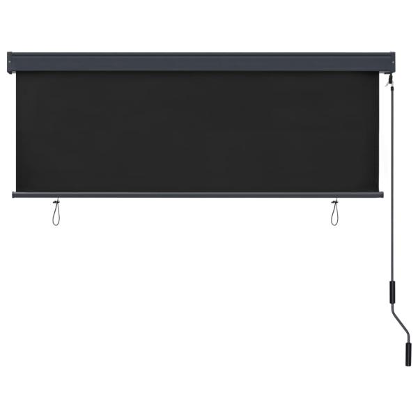 Außenrollo 160x250 cm Anthrazit