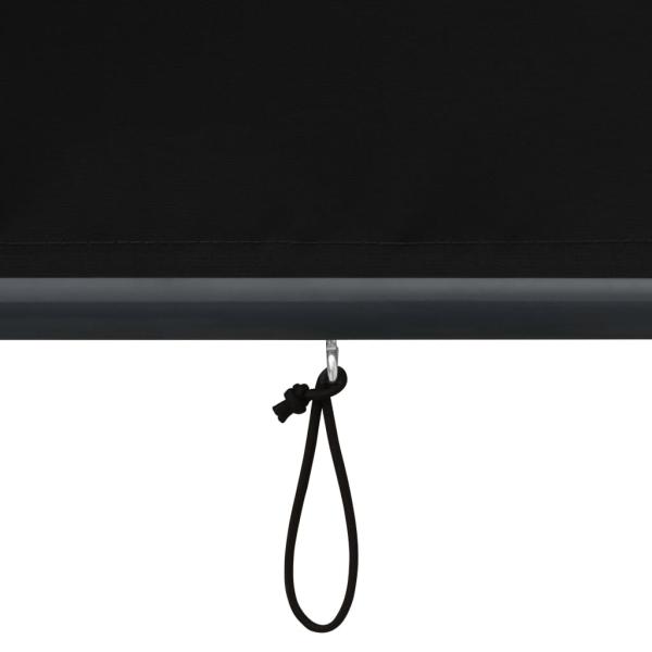 Außenrollo 160x250 cm Anthrazit