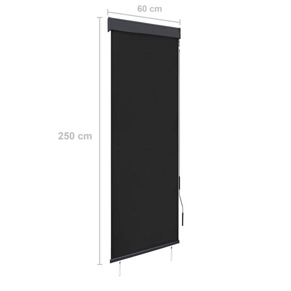 Außenrollo 60 x 250 cm Anthrazit