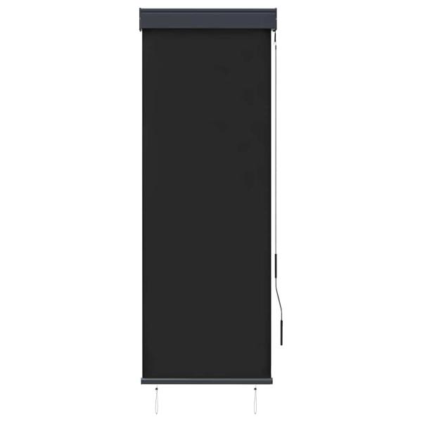 Außenrollo 60 x 250 cm Anthrazit