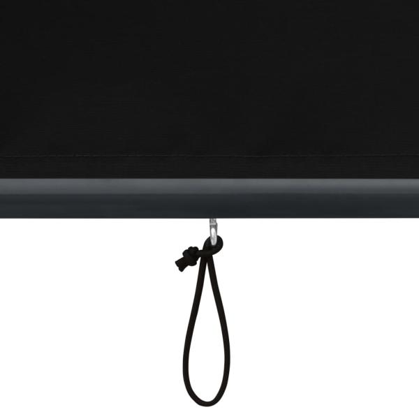 Außenrollo 60 x 250 cm Anthrazit