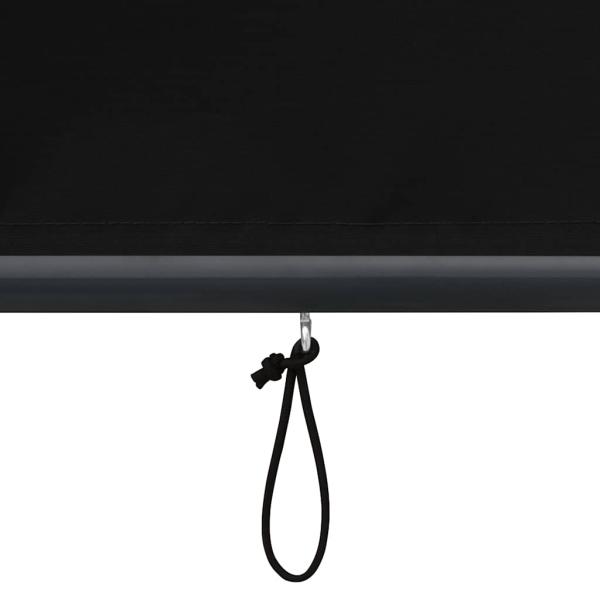 Außenrollo 60 x 250 cm Anthrazit