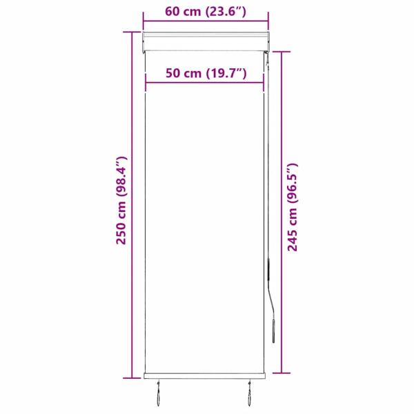Außenrollo 60 x 250 cm Anthrazit