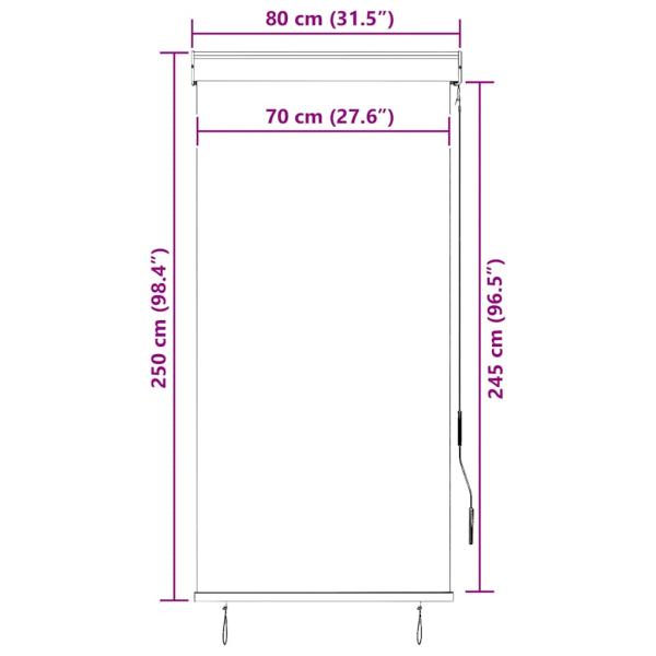 Außenrollo 80 x 250 cm Anthrazit