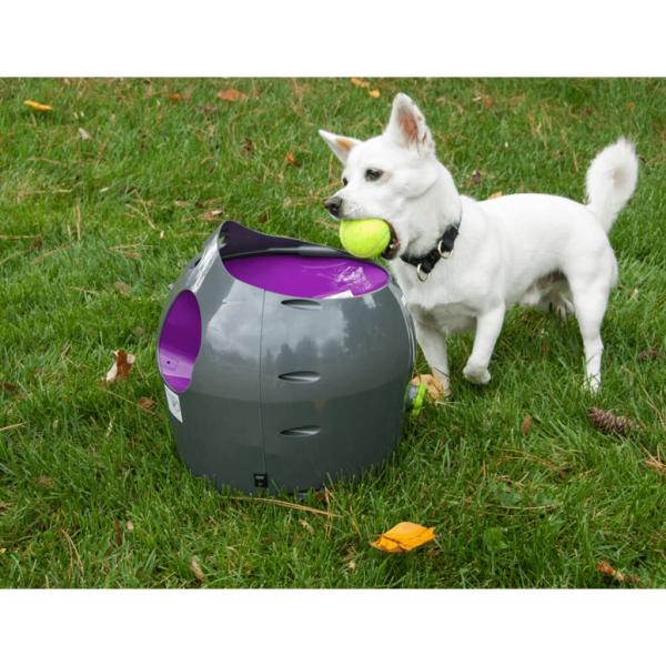 PetSafe Automatischer Ballwerfer für Haustiere 9 m Grau und Lila
