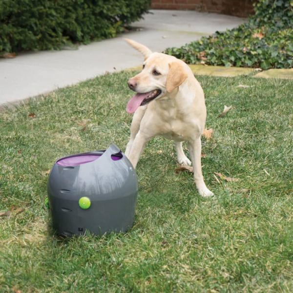 PetSafe Automatischer Ballwerfer für Haustiere 9 m Grau und Lila