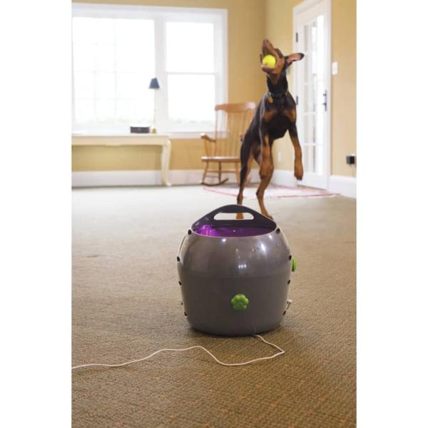 PetSafe Automatischer Ballwerfer für Haustiere 9 m Grau und Lila