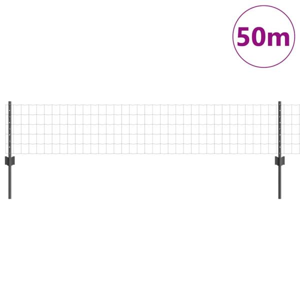 Euro Zaun mit 22 U-Pfosten Grau 0,4x50 m Stahl