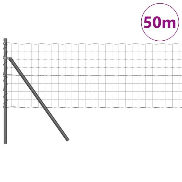 Euro Zaun mit 13 Pfosten 0.4x50 m Verzinkter Stahl Grau
