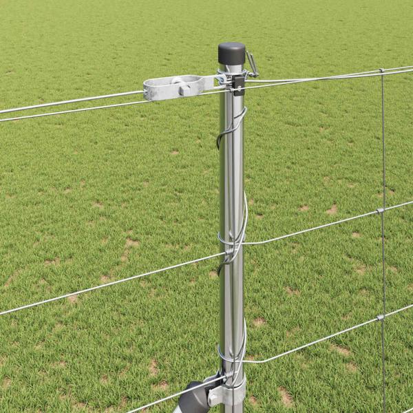Schweißdrahtzaun mit Spikes 50 x 1,5 m Verzinkter Stahl Silber