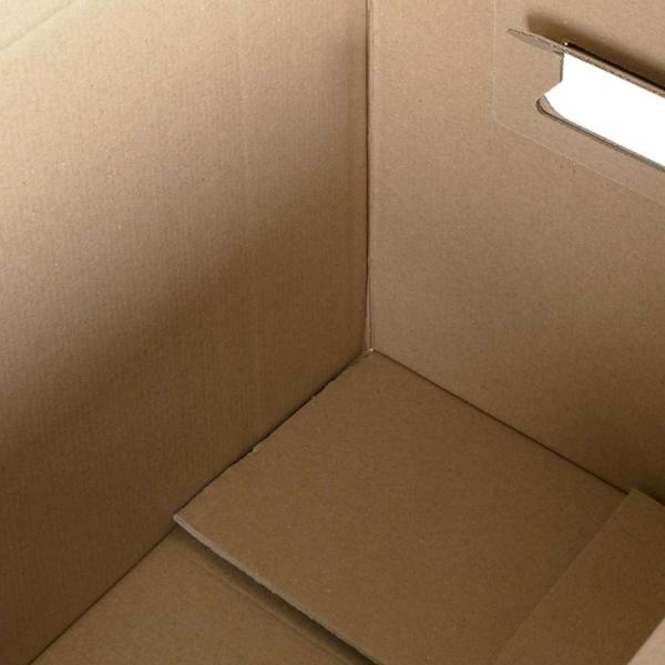 Umzugsbox mit Speicher 20 Stk. Natur 59 x 31,5 x 31,5 cm Karton