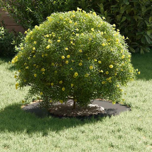 Metallpflanzgefäß Schwarz Metall 60 x 60 x 1.3 cm