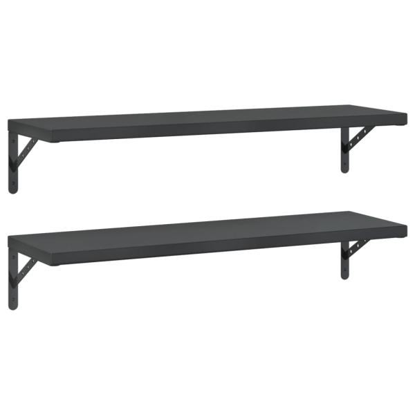Wandregale 2 Stk. 100x30 cm Schwarz Edelstahl