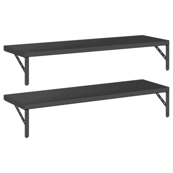 Wandregale 2 Stk. 100x30 cm Schwarz Edelstahl