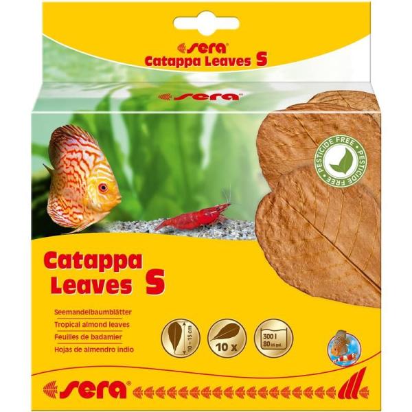 ARDEBO.de sera Catappa Leaves S 10-15 cm (10 St)