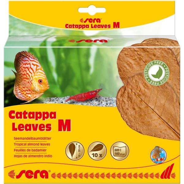ARDEBO.de sera Catappa Leaves M 16-20 cm (10 St)