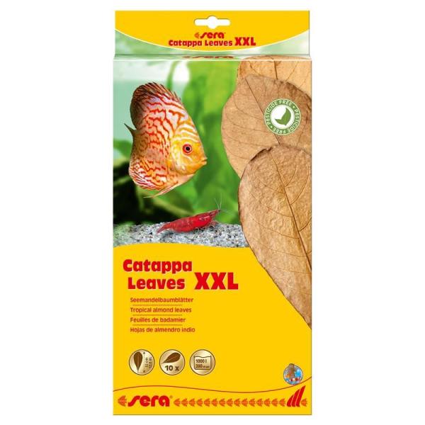 ARDEBO.de sera Catappa Leaves XXL 30-35 cm (10 St)