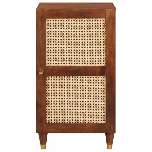 Medienlagerungsschränke & Regale mit Regal mit Speicher mit Tür Braun