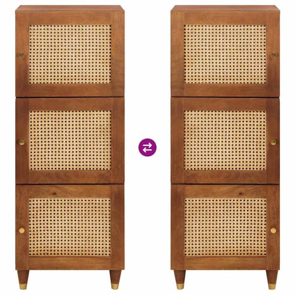 Medienlagerungsschränke & Regale mit Regal mit Speicher mit Tür Braun