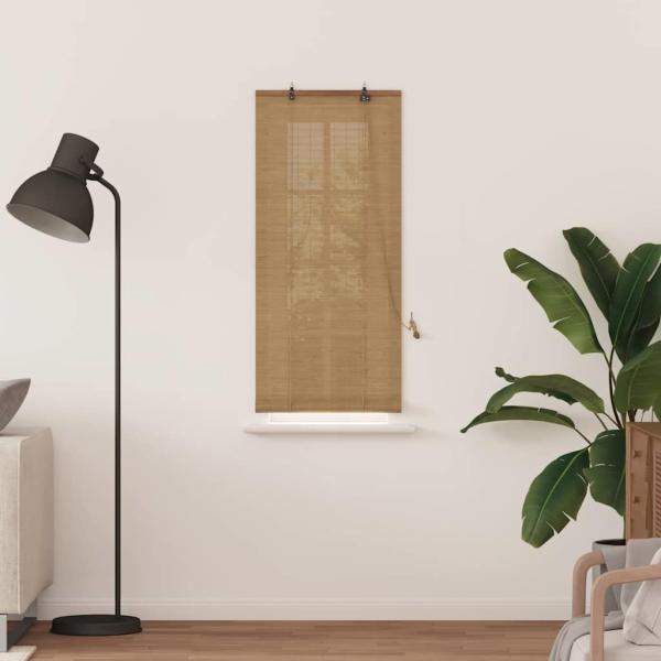 Fensterjalousien und -schattierungen Hellbraun 60 x 160 cm