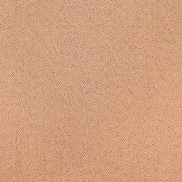 Vorhänge mit Vorhängen 2 pcs Hellbraun 140 x 140 cm Polyester