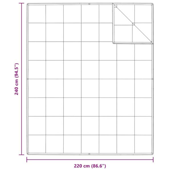 Decken & Bettdecken Weiß 240 x 220 cm Daunen