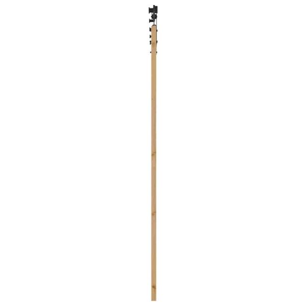 Schiebetür Sonstiges Braun 78 x 211 cm Massivholz Kiefer
