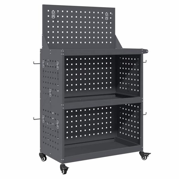 Werkzeugwagen mit Regal mit Rad mit Speicher Anthrazit 65 x 35 x 111 cm