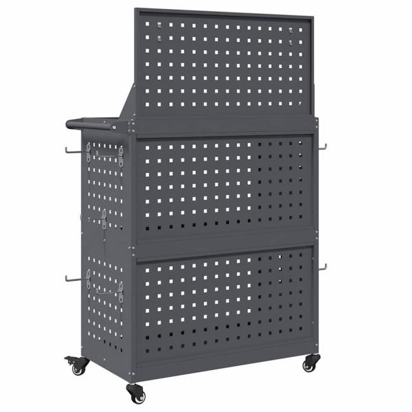 Werkzeugwagen mit Regal mit Rad mit Speicher Anthrazit 65 x 35 x 111 cm