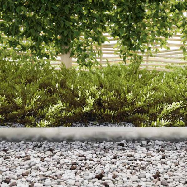 Rasenrand Silber 450 x 10 cm Verzinkter Stahl