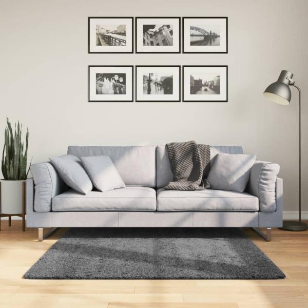 ARDEBO.de - Teppich OVIEDO Kurzflor Anthrazit 120x120 cm