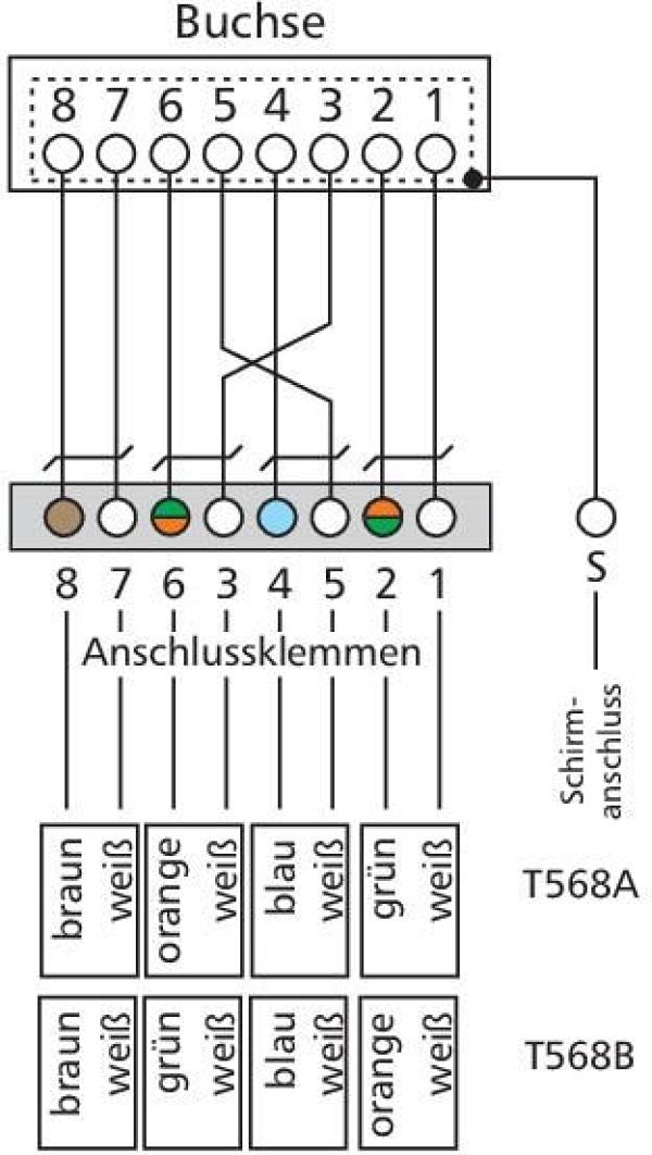 Metz Connect E-DAT C6A 6 Port Aufputzgehäuse, reinweiß (130862-21C-E)