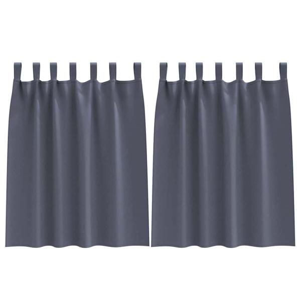 Vorhänge mit Vorhängen 2 pcs Anthrazit Polyester
