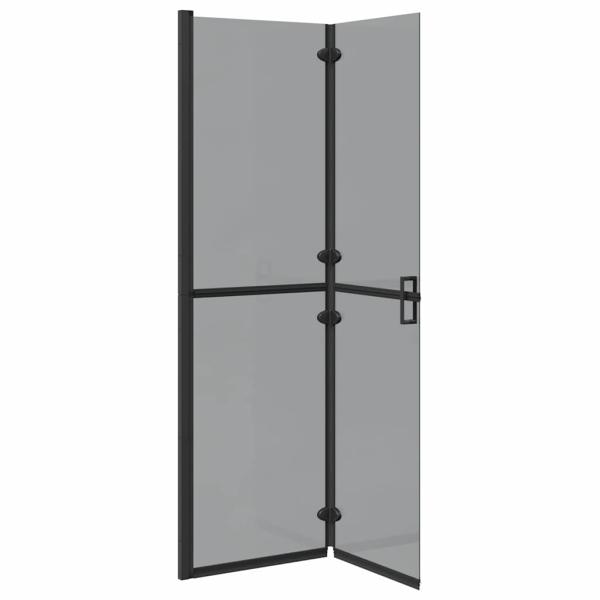 Walk-in Duschwand Schwarz und dunkel-transparent 110 x 190 cm