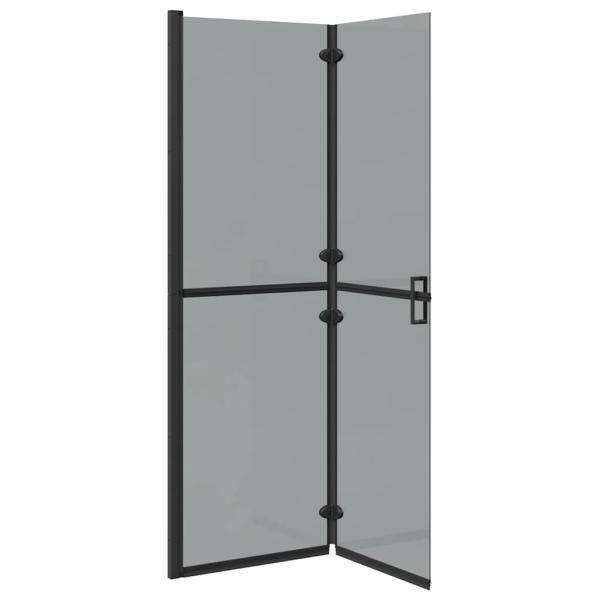 Walk-in Duschwand Schwarz und dunkel-transparent 120 x 190 cm
